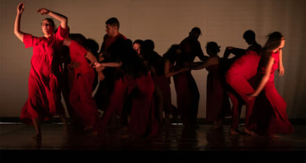 Fiori d’estate di Chiara Alborino